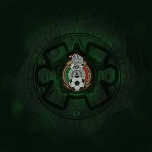 Meet your Posher, Bruno